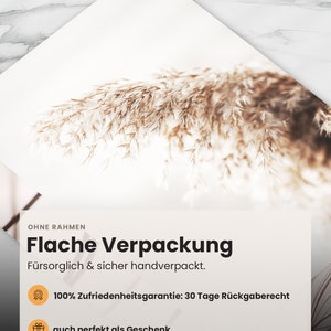 May include: A white background with a brown, dried grass plant. The text "OHNE RAHMEN Flache Verpackung F&uuml;rsorglich & sicher handverpackt. 100% Zufriedenheitsgarantie: 30 Tage R&uuml;ckgaberecht auch perfekt als Geschenk" is displayed on a white rectangle.