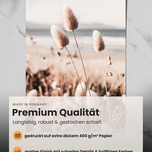 May include: A close-up of a print featuring a soft, muted color palette of beige and brown. The print features three tall, feathery plants against a blurred background of a beach and ocean. The text "MADE IN GERMANY" and "Premium Qualit&auml;t" is at the top of the print. The text "Langlebig, robust & gestochen scharf." is below the title. The text "gedruckt auf extra dickem 400 g/m&sup2; Papier" and "mattes Finish mit scharfen Details & kr&auml;ftigen Farben" is below the description.