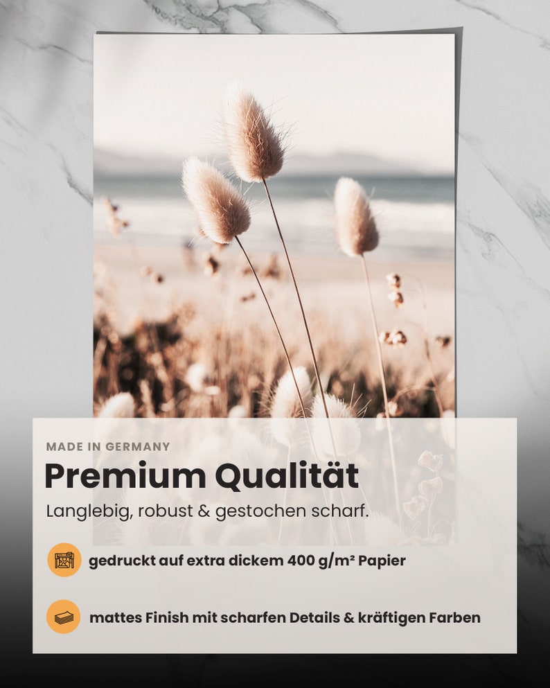 May include: A close-up of a print featuring a soft, muted color palette of beige and brown. The print features three tall, feathery plants against a blurred background of a beach and ocean. The text "MADE IN GERMANY" and "Premium Qualit&auml;t" is at the top of the print. The text "Langlebig, robust & gestochen scharf." is below the title. The text "gedruckt auf extra dickem 400 g/m&sup2; Papier" and "mattes Finish mit scharfen Details & kr&auml;ftigen Farben" is below the description.