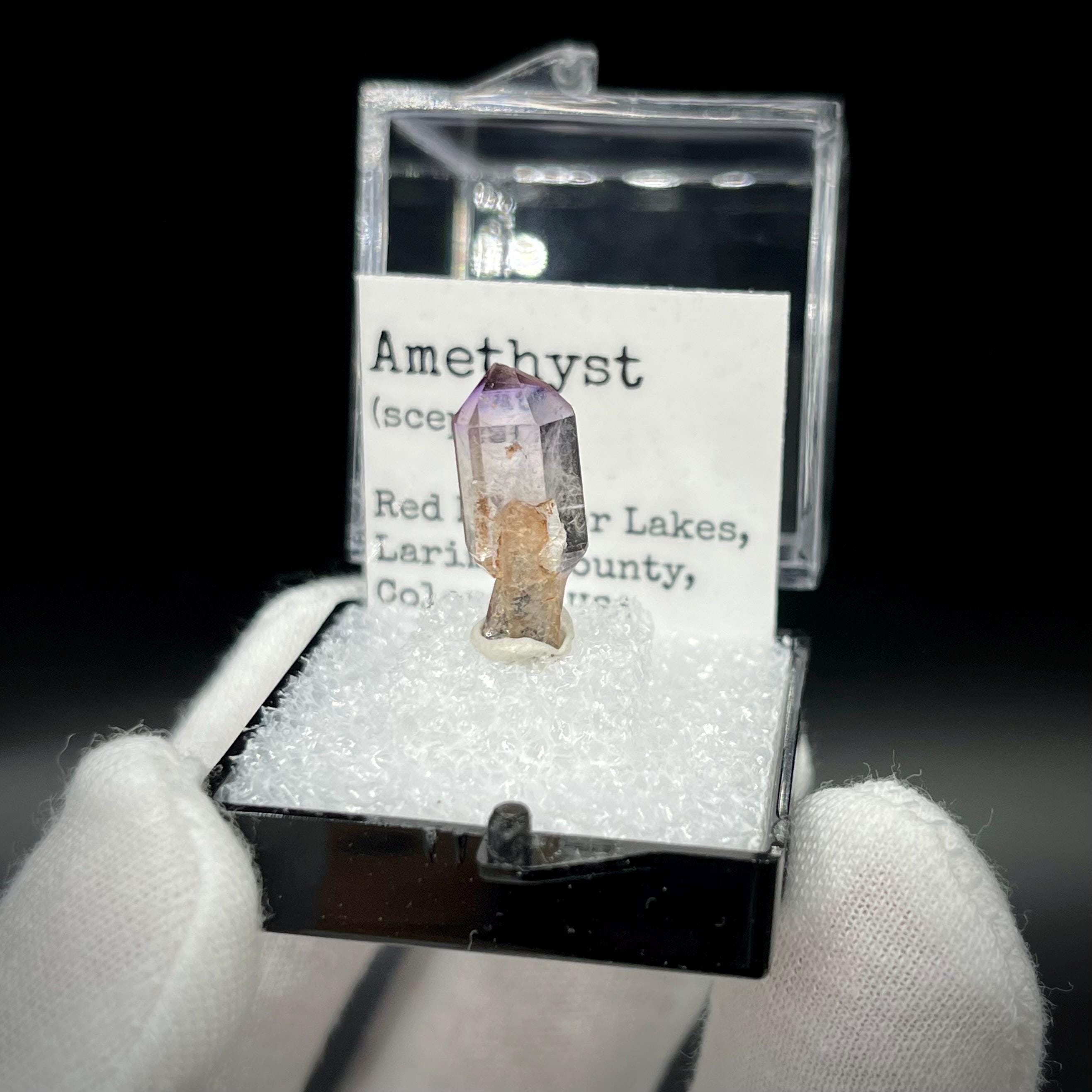 Amethyst Scepter - Red Feather Lakes, Colorado 1.8 cm Crystal Thumbnail Specimen - Rare Find