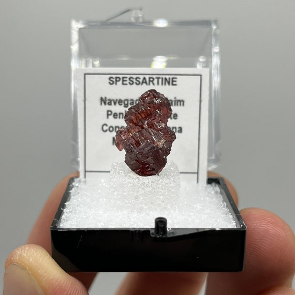 13.00ct Spessartine Garnet - Etched Floater - Perky Box Specimen- Navegadora, Brazil - Grade AA - 2.6 grams