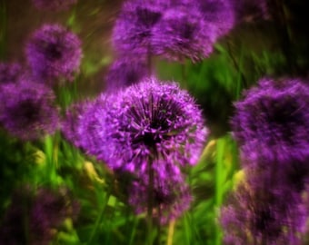 Petzval Helios-44-2 KMZ 58 mm f/2.0 con montura M42, lente Helios modificada, lente plateada vintage estilo Petzval, efecto bokeh.