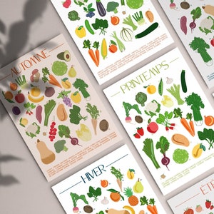 Illustration of Seasonal Fruits and Vegetables - Digital Format