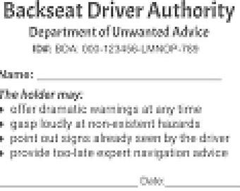 Licencia de conducir para el asiento trasero: una novedad para el "otro" conductor en el automóvil...