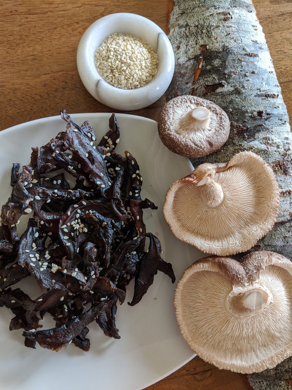 Teriyaki Sesame Shiitake Mushroom Jerky 2.5 oz. Vegan and Etsy