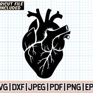 Anatomical Heart Svg, Heart svg,Cardiologist svg,Human Heart Clip Art Decal, Nurse Life, Medical Doctor Anatomy