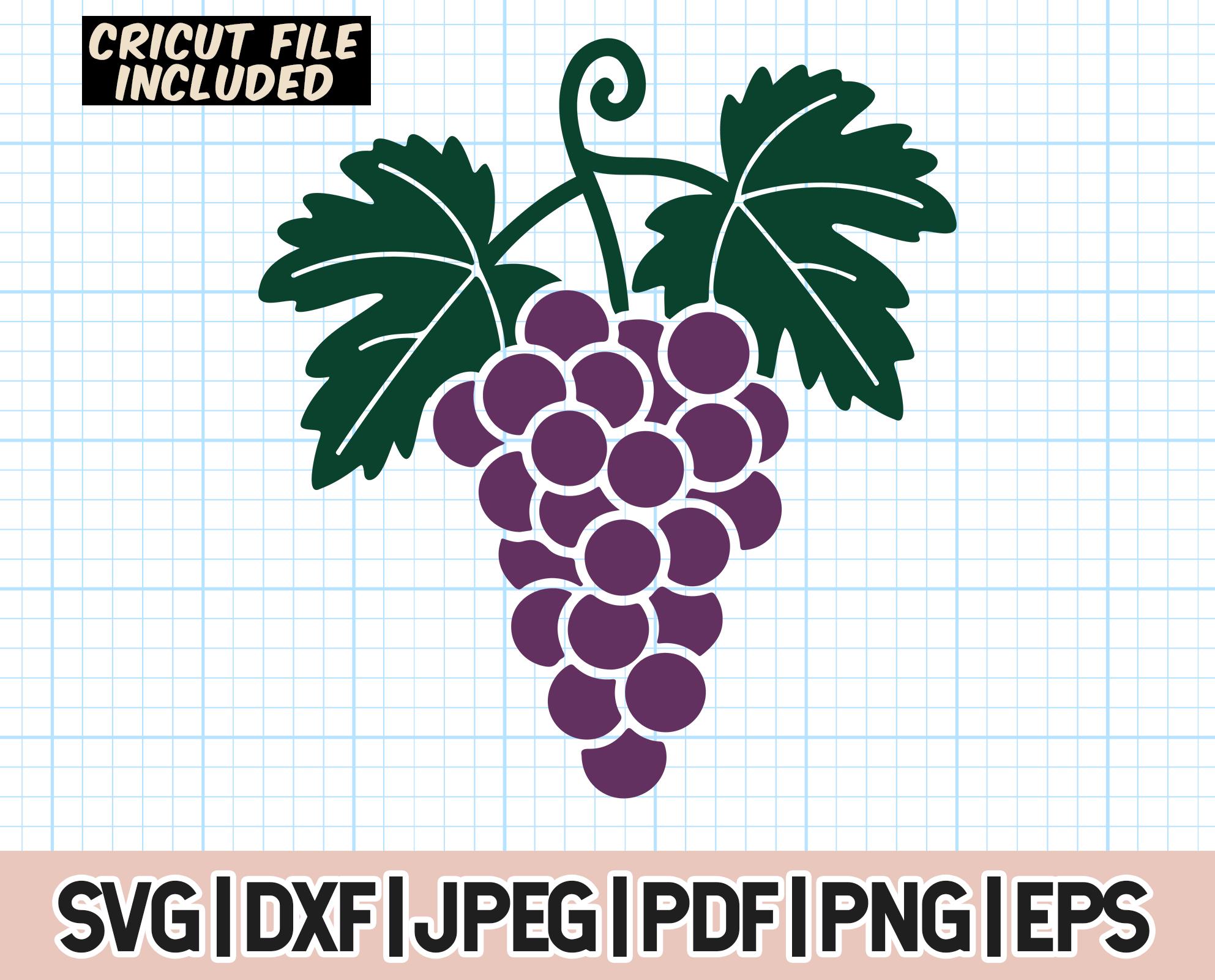 Grape svg, Grape Bunch svg, Grape Vine svg,Fruit svg, svg cut file, Wine Grapes