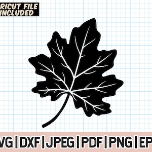 Hojas de otoño Svg, Otoño svg, Hoja de otoño png, Hoja de otoño png, Archivos de corte para Cricut, Archivos Glowforge, Silueta, Halloween svg