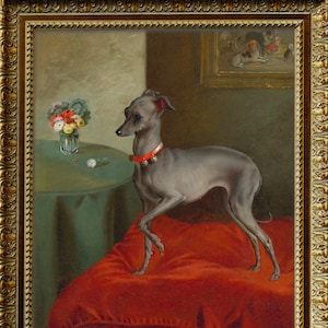 Lámina artística de galgo italiano, arte antiguo del siglo XIX, arte canino antiguo, lámina artística de alta calidad, arte canino victoriano, galgo italiano, rojo imagen 1