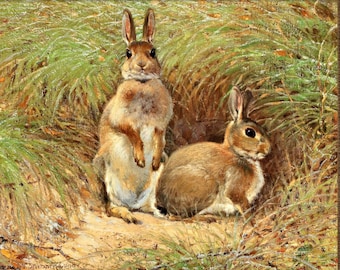 Vintage Bunny Painting, Wild Rabbits, High Quality Art Print, Brown Rabbit Painting, Cute Antique Rabbit Art, Hare Painting