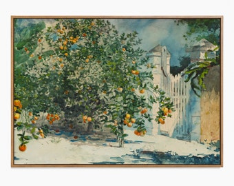 Vintage Watercolor with Orange Tree, Winslow Homer, High Quality Art Print, Painting of Oranges, Orange Tree and Gate, Nassau, Orange Art