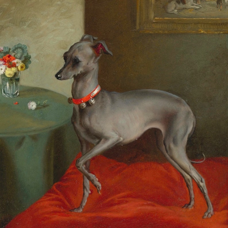 Lámina artística de galgo italiano, arte antiguo del siglo XIX, arte canino antiguo, lámina artística de alta calidad, arte canino victoriano, galgo italiano, rojo imagen 4