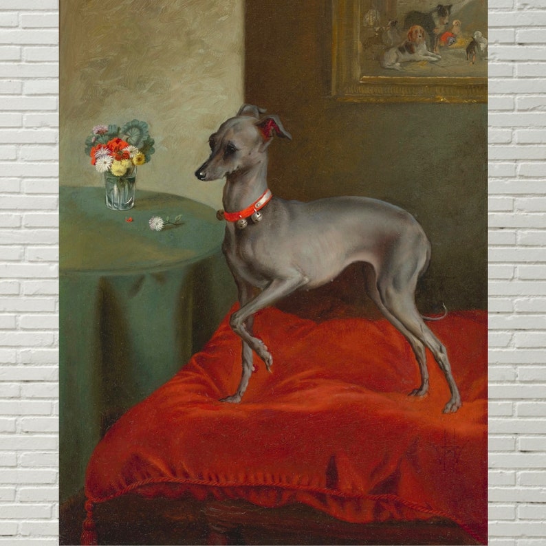 Lámina artística de galgo italiano, arte antiguo del siglo XIX, arte canino antiguo, lámina artística de alta calidad, arte canino victoriano, galgo italiano, rojo imagen 6