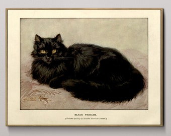 Vintage Black Cat Art, Henriette Ronner-Knip, High Quality Art Print, Black Long-Haired Cat Antique Painting, Black Cat, Cat Lover Gift