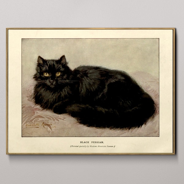 Letterman Cat Painting Etsy