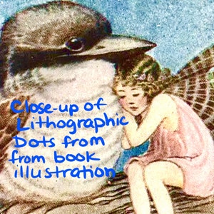 Reproduction Fairy Illustration, Sleeping Fairy and Bird, 5x7, Bridget ...