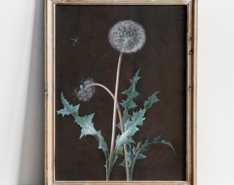 Antique Dandelion Still Life Painting, Dark Unusual Still Life, High Quality Fine Art Print, Floral Still-Life, 18th Century Art, Gothic Art
