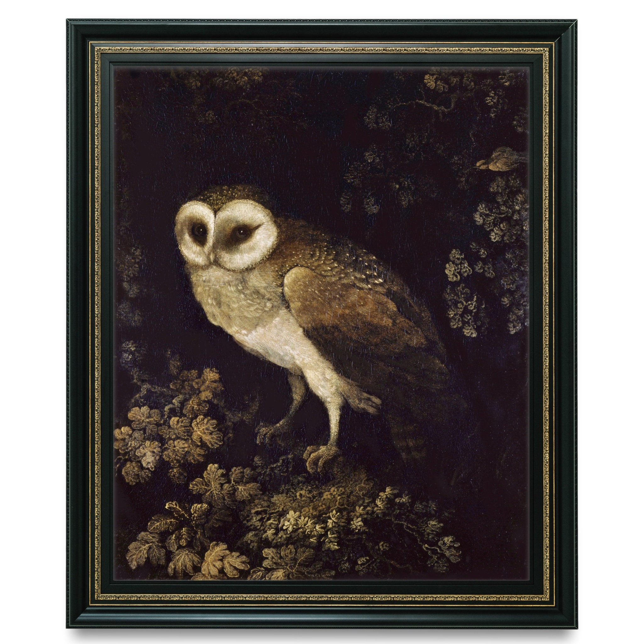 Gothic Owl Wall Art, Dark Academia, Moody Still Life, Antique Owl Painting, Moses Haughton, Night Pa