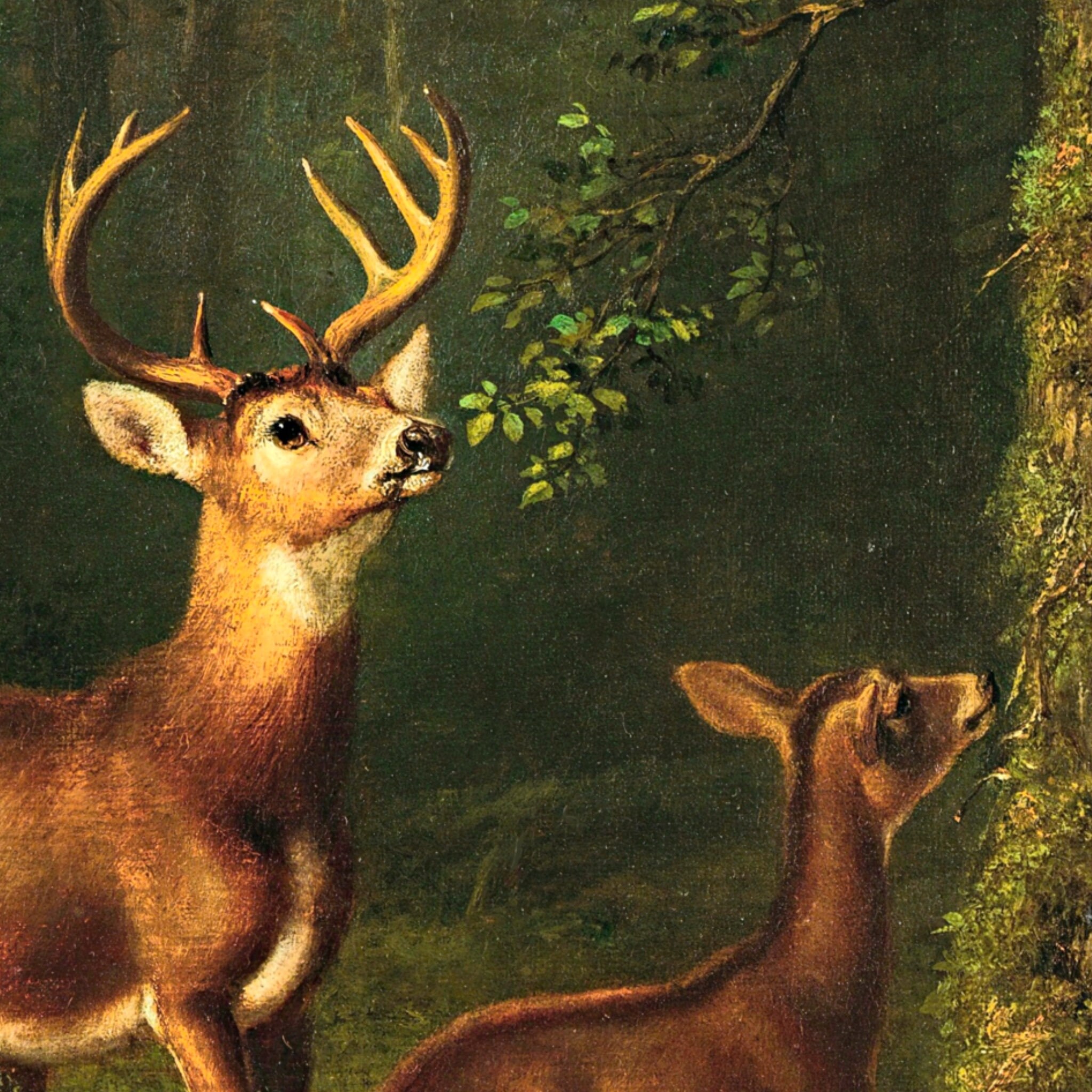 アルケミエ　6th ジン アブサン 限定WILD DEER 5本セット アルケミエ 6th ジン アブサン 限定WILD DEER 5本セット アルケミエ