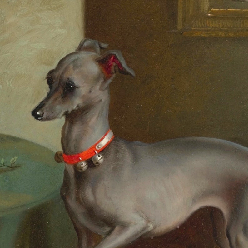 Lámina artística de galgo italiano, arte antiguo del siglo XIX, arte canino antiguo, lámina artística de alta calidad, arte canino victoriano, galgo italiano, rojo imagen 5