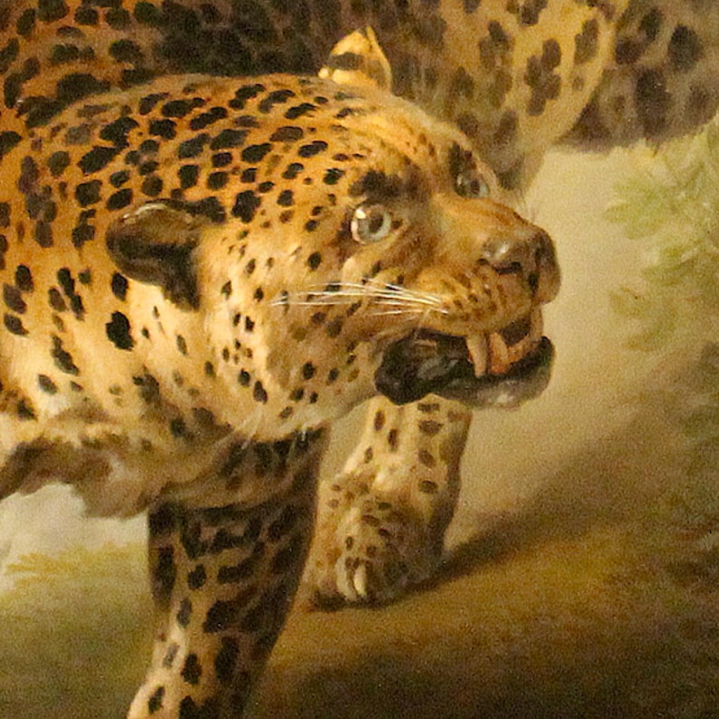 18th Century Leopard Painting Art Print, Leopard Decor, 1700s Art ...