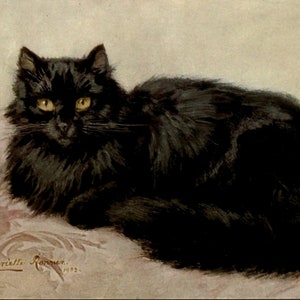 Vintage Black Cat Art, Henriette Ronner-knip, High Quality Art Print ...