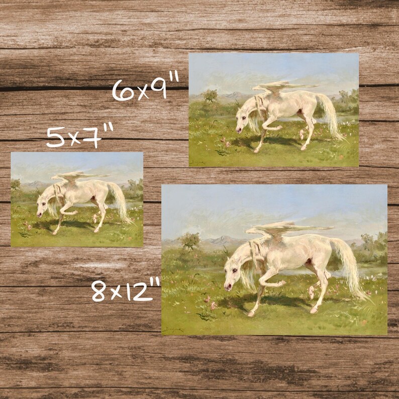 Może przedstawiać: Trzy wydruki artystyczne przedstawiające białego pegaza ze skrzydłami na polu. Wydruki mają wymiary 12,7 x 17,8 cm, 15,2 x 22,9 cm i 20,3 x 30,5 cm. Tło to krajobraz z błękitnym niebem i zieloną trawą.
