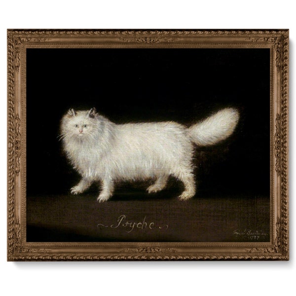 18th Century White Persian Cat Art, White Cat Painting, High Quality Art Print, Renaissance Cat Painting, Antique Cute Silly Persian Cat