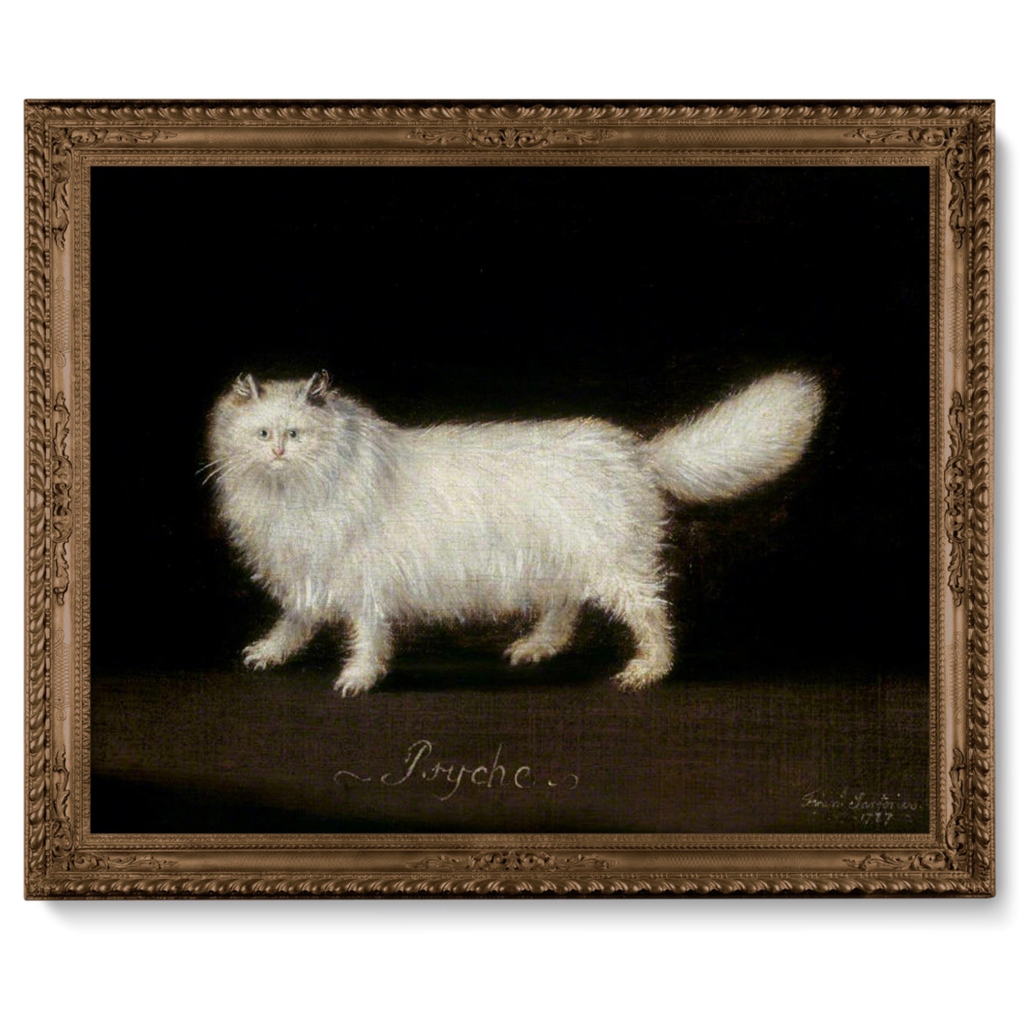 Empire Art Direct Persian Black and White Pet Paintings on Reverse Printed  Glass Framed Cat Wall Art, 24 x 18 x 1, Ready to Hang 