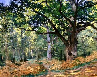 The Bodner Oak, Fontainebleau Forest, Claude Monet, High Quality