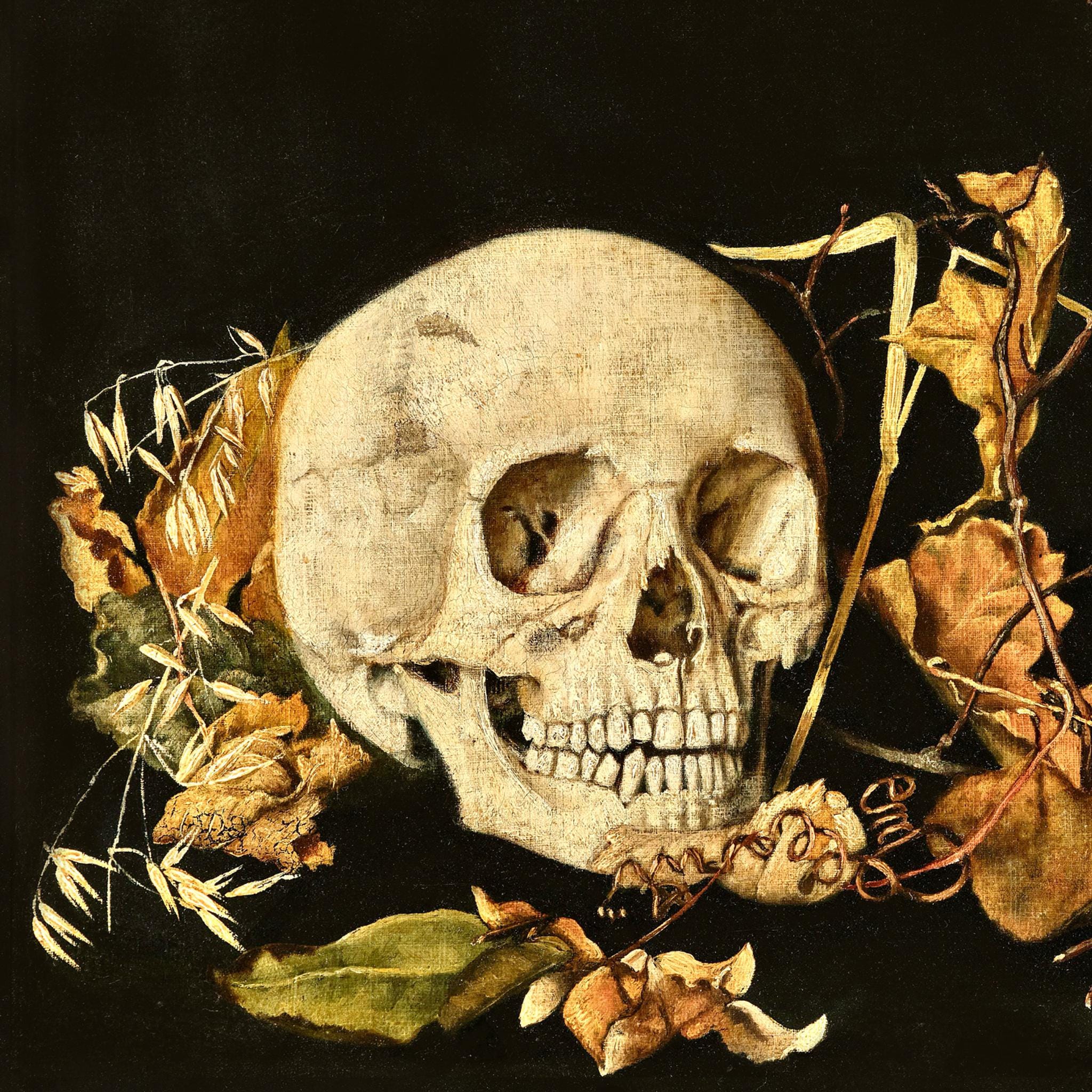 Memento Mori Skull Art Print, 19th Century Vanitas Painting, Gothic ...