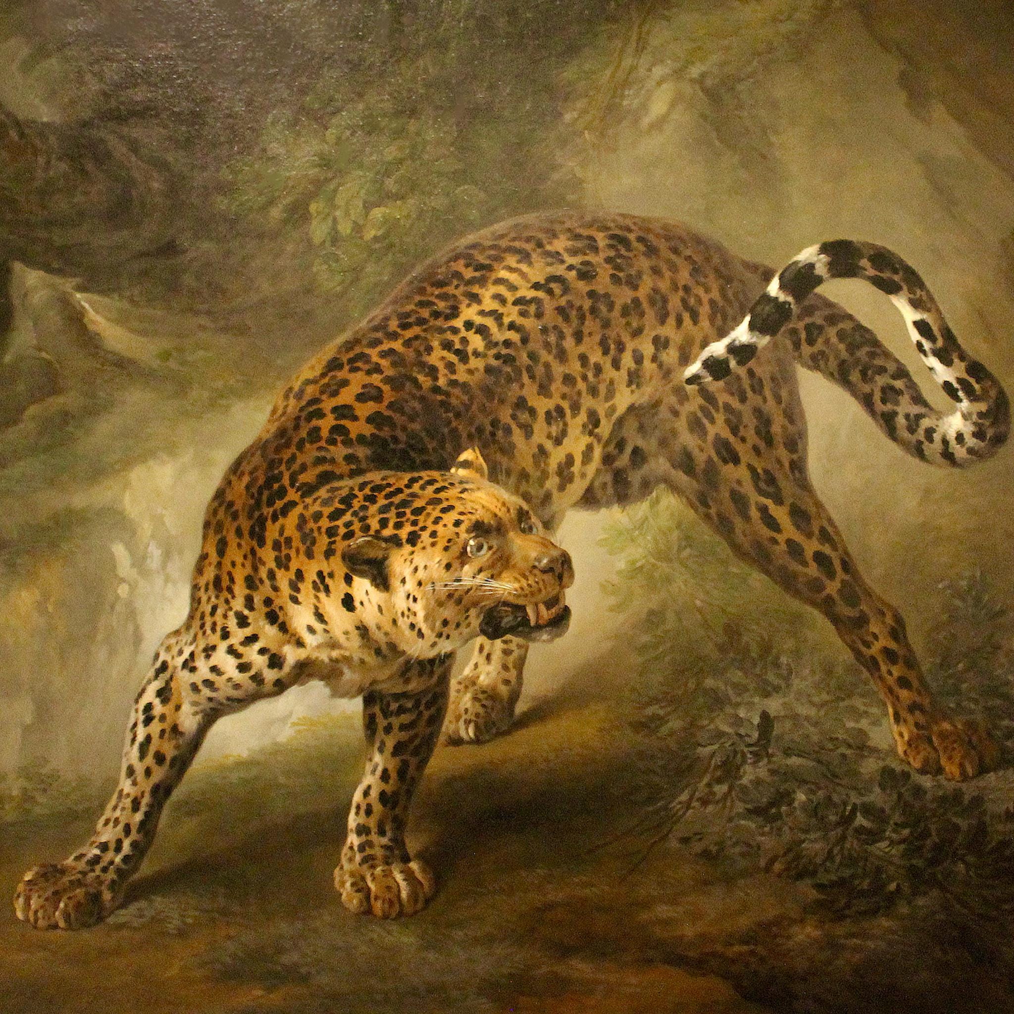 18th Century Leopard Painting Art Print, Leopard Decor, 1700s Art ...
