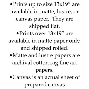 May include: Text on a white background details print options. Prints up to 13x19 inches are available in matte, lustre, or canvas paper and shipped flat. Prints over 13x19 inches are matte paper only and shipped rolled.