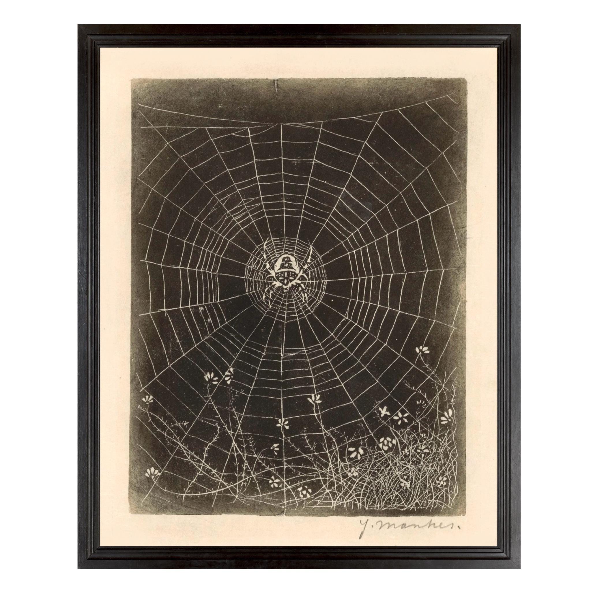 Spider in Web Art Print, Vintage Reproduction Print, Gothic, Dark Academia, Black and White, Spider Art, Spiderweb Print, Jan Mankes