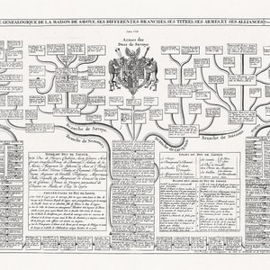 Carte genealogique de la maison de nr 67, 1720, mapa na grubym płótnie bawełnianym, ok. 22x27 cali.