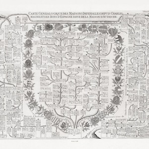 Genealogia: Carte Genealogique Des Maisons Imperialles Depuis Charles-Magne, 1718, mapa na grubym płótnie bawełnianym, wymiary ok. 22 x 27 cali.