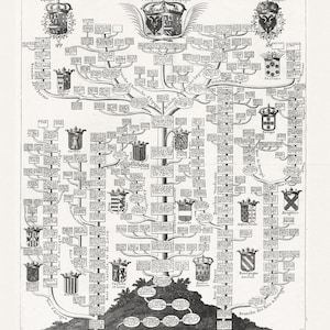 Genealogia: Henri Chatelaine, Tom II. Nr 7. Carte genealogique de la maison d’Autriche, 1718, mapa na grubym płótnie bawełnianym, wymiary ok. 22x27 cali