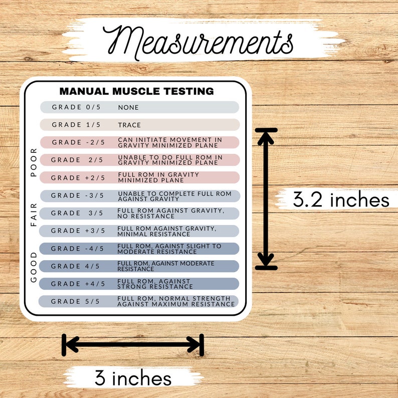 Manual Muscle Testing Sticker, Manual Muscle Testing Reference, MMT ...