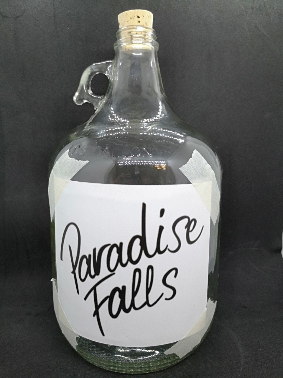 Paradise Falls Jar/ Jar Inspired by UP. Gallon Sized Glass Jar With ...