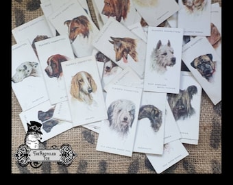 May include: A collection of vintage dog breed trading cards featuring illustrations of different dog breeds. The cards are white with black text and feature the text "Player's Cigarettes".