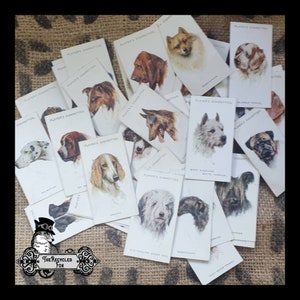 May include: A collection of vintage dog breed trading cards featuring illustrations of different dog breeds. The cards are white with black text and feature the text "Player's Cigarettes".