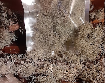 May include: A clear plastic bag filled with dried, light green Spanish moss. The moss is arranged in a loose, tangled pile.
