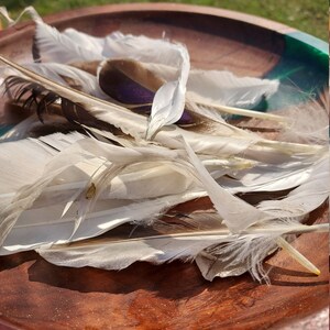 May include: A wooden bowl with a green and brown resin inlay holds a collection of white and brown feathers.