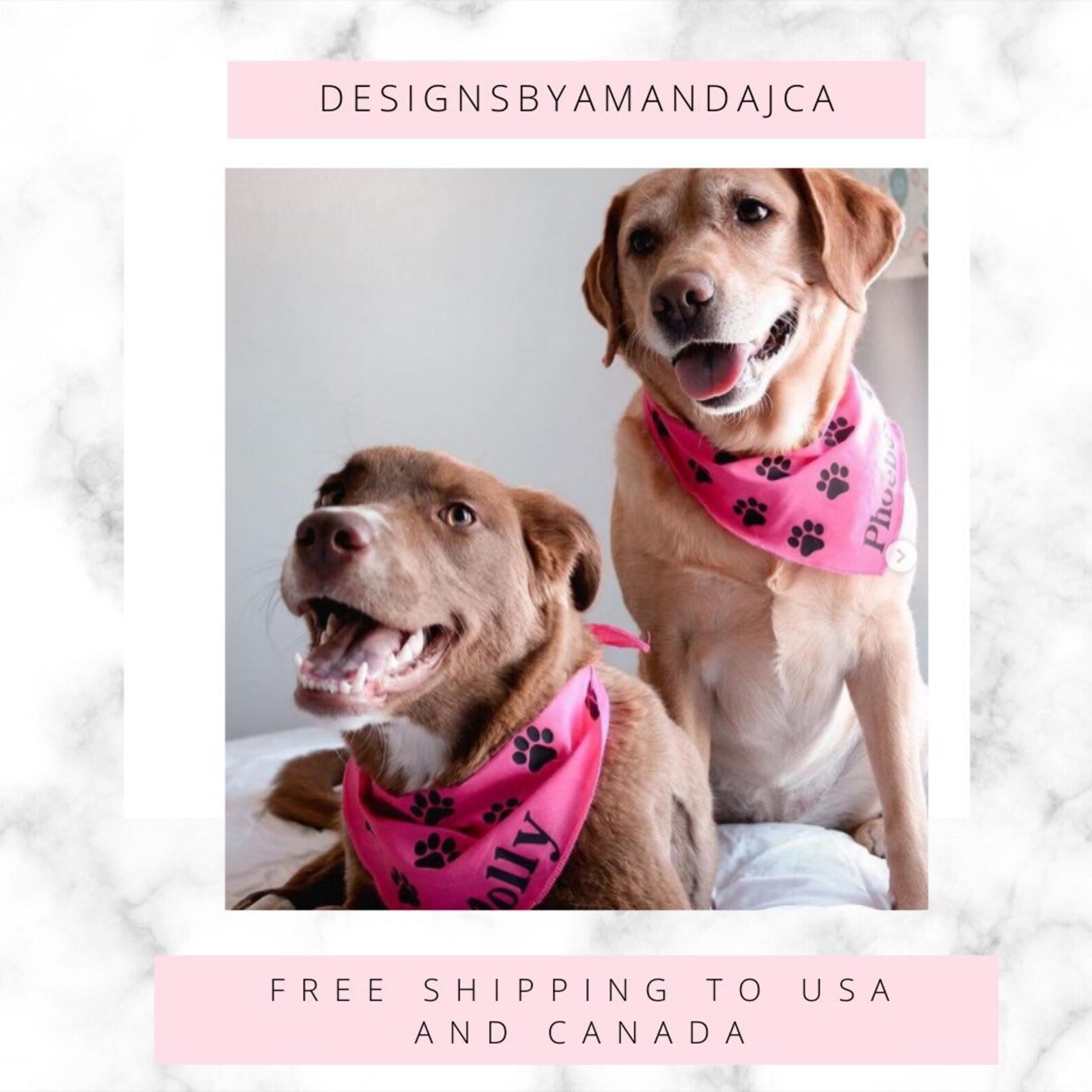 Personalized Dog Bandanas with Your Dog's Name and Paw Etsy