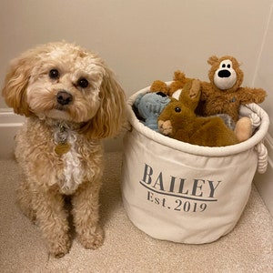 Personalized Canvas Toy Basket: Dog/Child Toy Storage