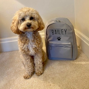 Personalised Dog Rucksack Dog Backpack Dog Sleepover Bag