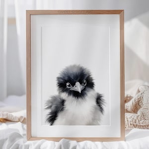 MAGPI-afdruk - kunst aan de muur kinderkamer - afdrukbare muur kunst ekster - Australië kinderkamer decor - digitale download - Australische dierenprints