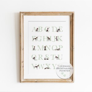 German Shorthaired Pointer Dog Alphabet Poster | Sage Green Gender Neutral Dog Nursery Decor | Puppy ABC Nursery Wall Art | Digital Download