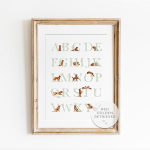 RED GOLDEN RETRIEVER alphabet poster. Sage Green Puppy abc poster. Golden Retriever Dog alphabet print. Educational Puppy Nursery Decor