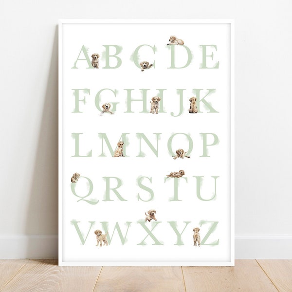 GOLDEN RETRIEVER alphabet poster. Puppy ABC poster. Golden Retriever alphabet print. Sage green puppy nursery decor. Printable Wall Art